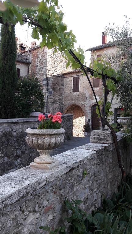 B&B Il Vecchietta Castiglione d'Orcia Exterior photo