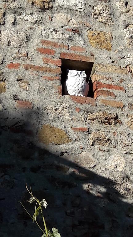 B&B Il Vecchietta Castiglione d'Orcia Exterior photo